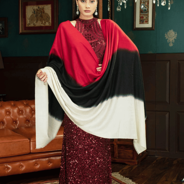 Parvana Ombre Pashmina Shawl